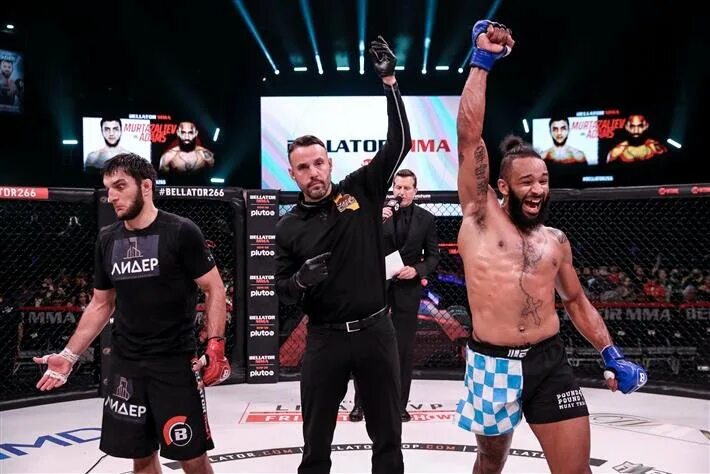 Pfl vs bellator. Халид муртазалиев тони джонсон. Глейсон тибау. Вердум боец. Anthony adams bellator.