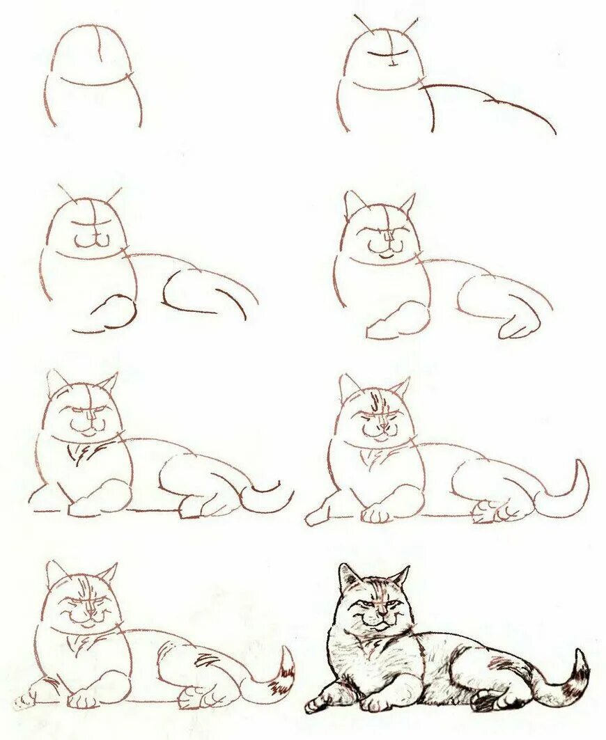 Рисунки пошагово. Этапы рисования кошки. Поэтапный рисунок кошки. Рисунок кошки пошагово карандашом. Уроки рисования для начинающих поэтапно