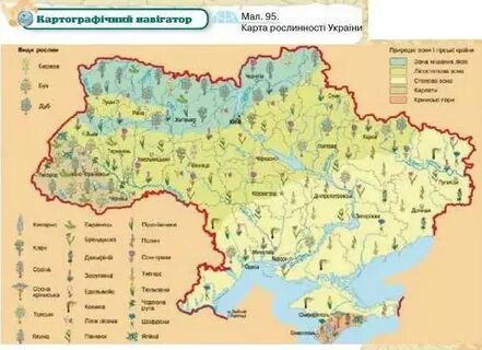 Укр зоне