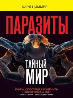 Тайный мир читать