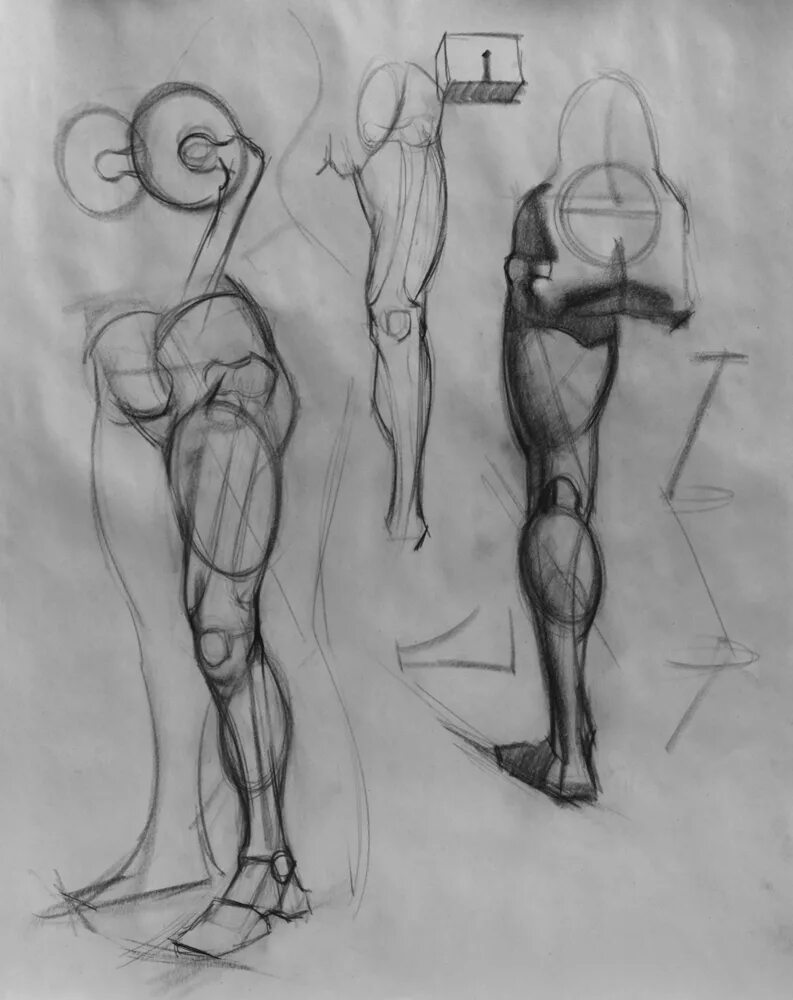 Фигура человека анатомия. Контрапост Рыжкин. Тело для рисования. Анатомические фигуры для рисования. Человеческие фигуры для рисования.