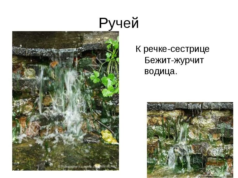 Журчит ручей какой. Источник воды. журчит водичка. бегут ручьи журчат. ручей спрятавшийся в траве тихо журчал.