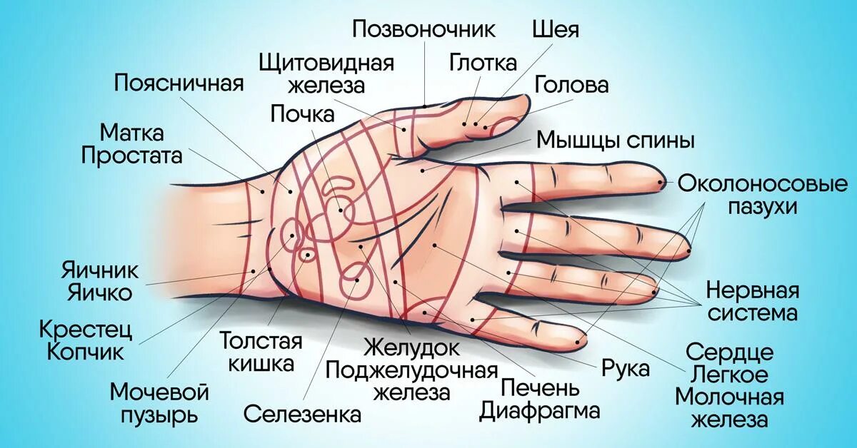 Почему температура пальцев