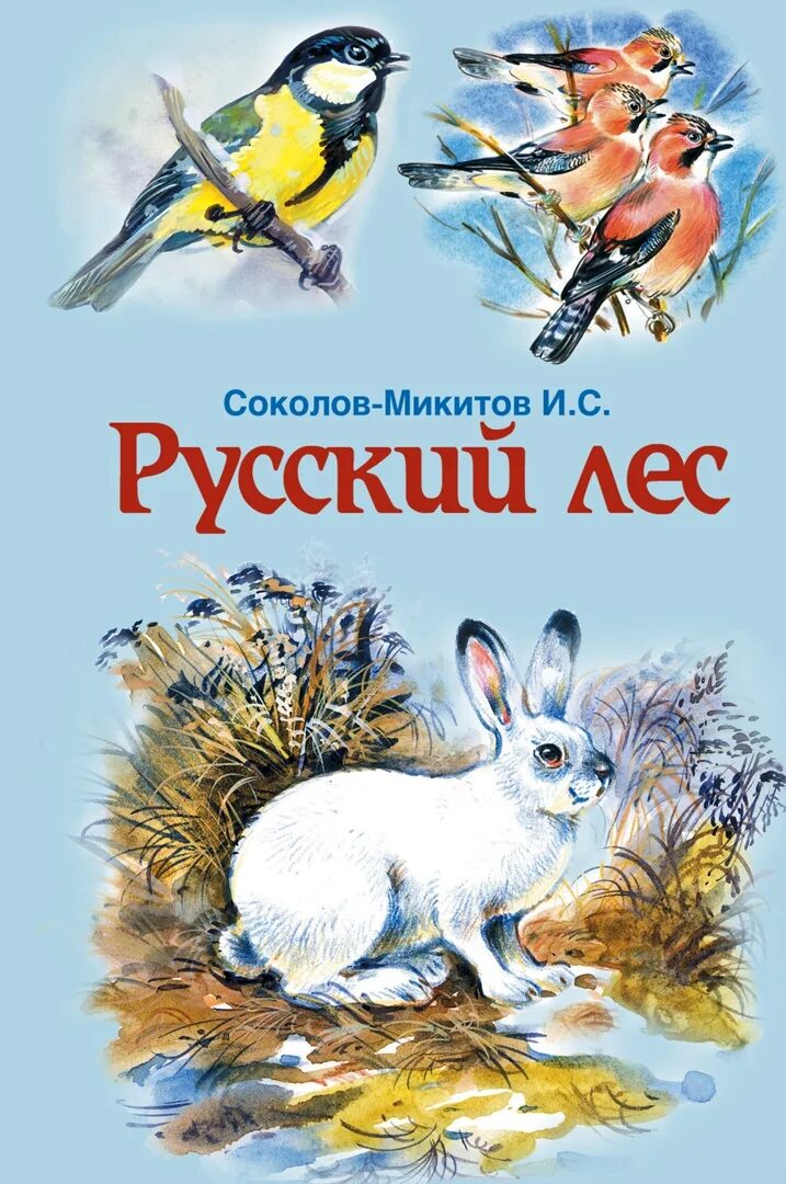 Автор рассказа лес. Год в лесу книга соколов микитов. Книга американского автора лес. Рассказ русский лес. Автор рассказа лес.
