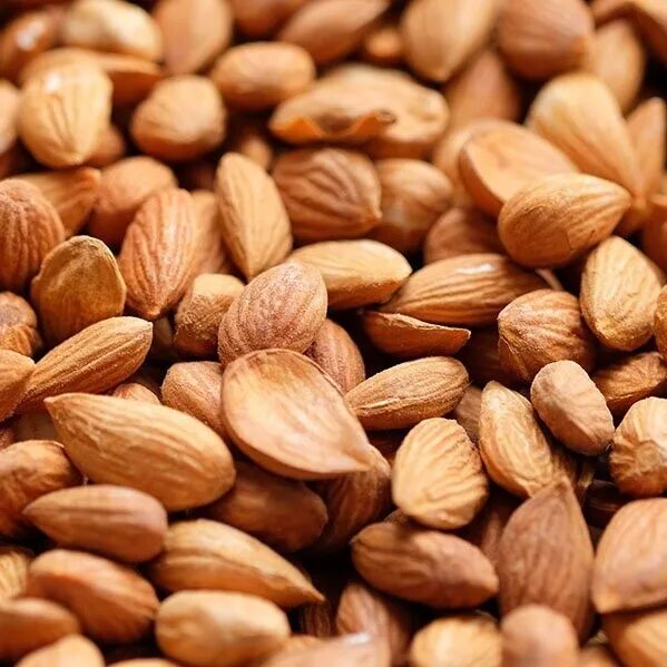 Абрикосовая косточка. Ядра косточек абрикоса. Абрикосовые косточки в упаковке. Урюк с косточкой. Содержание абрикосовой косточки.