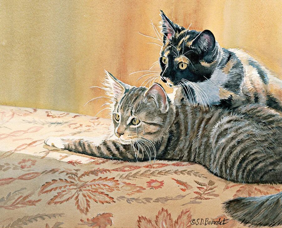 Кошка домашняя. Сьюзен бордет художник ах,эти кошки. Кошка. Кошки очарование мое картинки. Ах кошка кошка кошка.