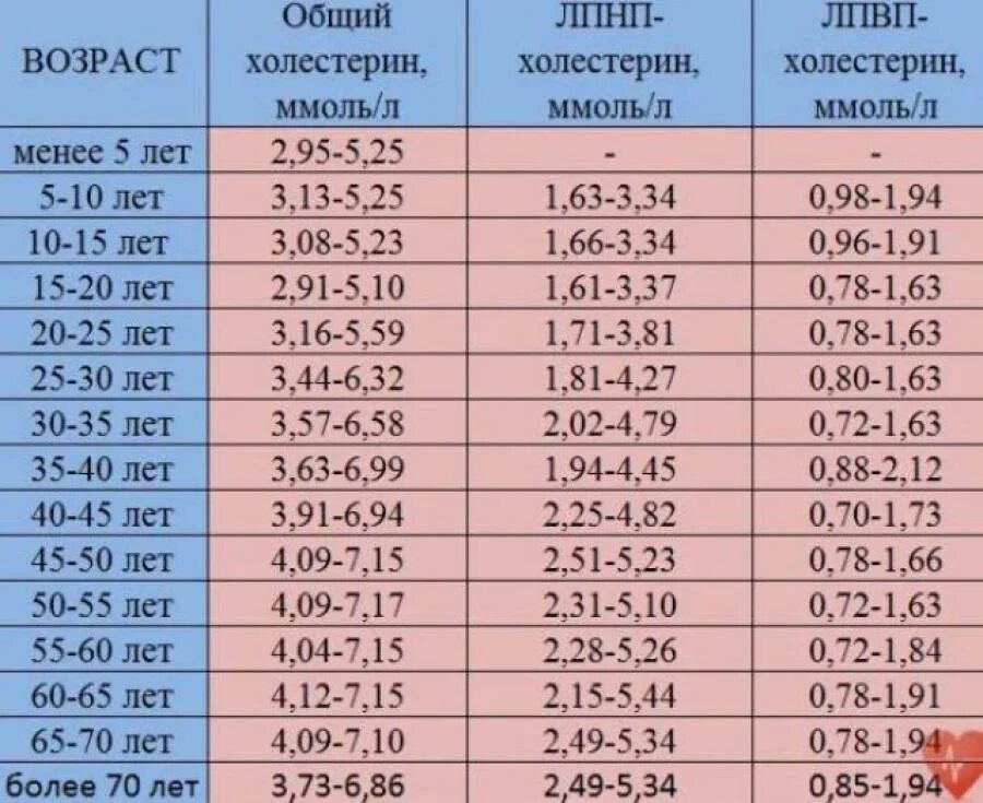 Какой холестерин должен быть у взрослого человека. Холестерин норма у женщин по возрасту 40 лет таблица. показатель холестерина в крови норма у женщин. нормы холестерина в крови у мужчин таблица. норма холестерина у женщин 60 лет в крови.