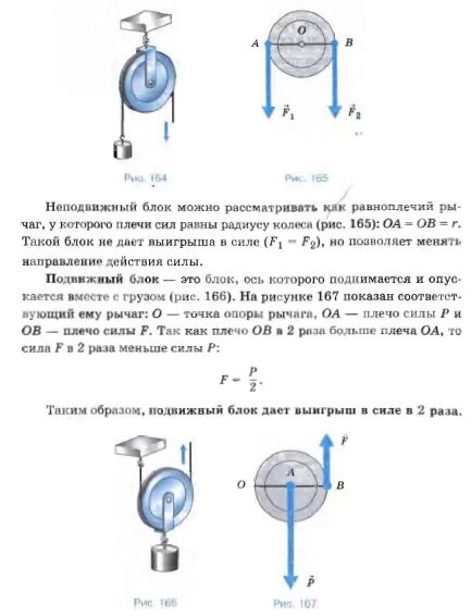 Неподвижный блок физика 7. Подвижный и неподвижный блок 7 класс физика. Подвижный и неподвижный блок физика 10 класс. Рычаги и блоки физика 7 класс. Подвижные и неподвижные блоки физика 7.