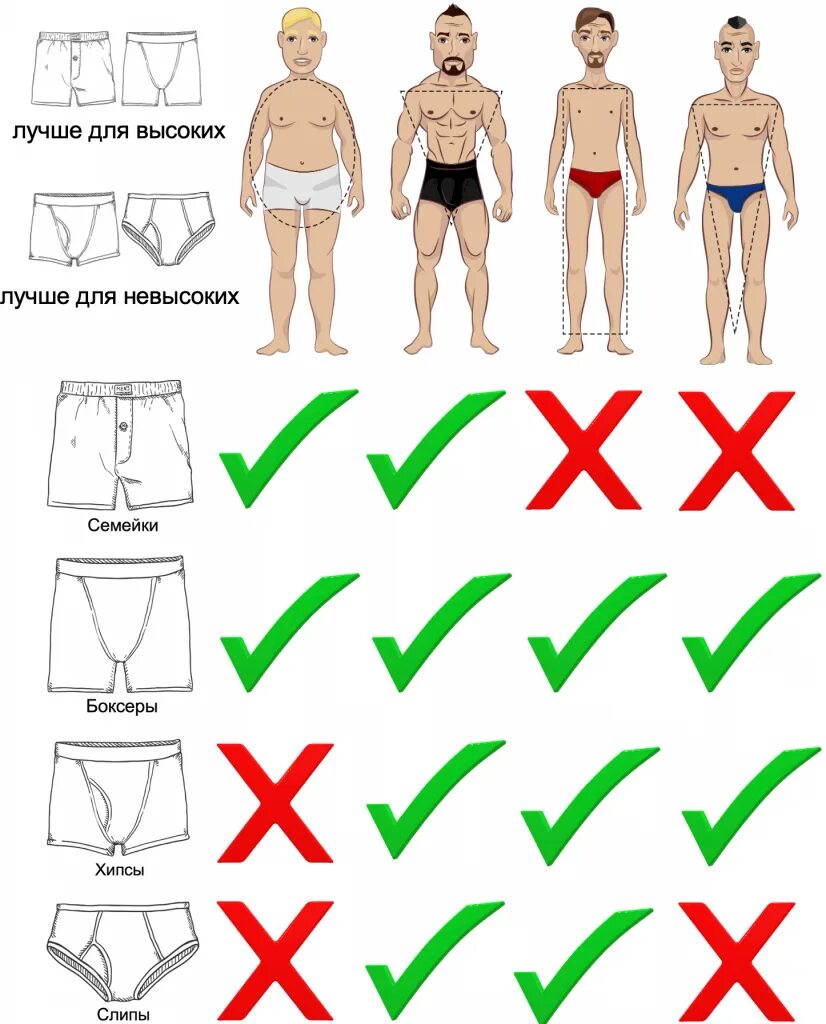 Как правильно выбирать трусы. Мужские трусы по форме. Типы мужских плавок. Правильное нижнее белье для мужчин. Размеры плавок мужских.
