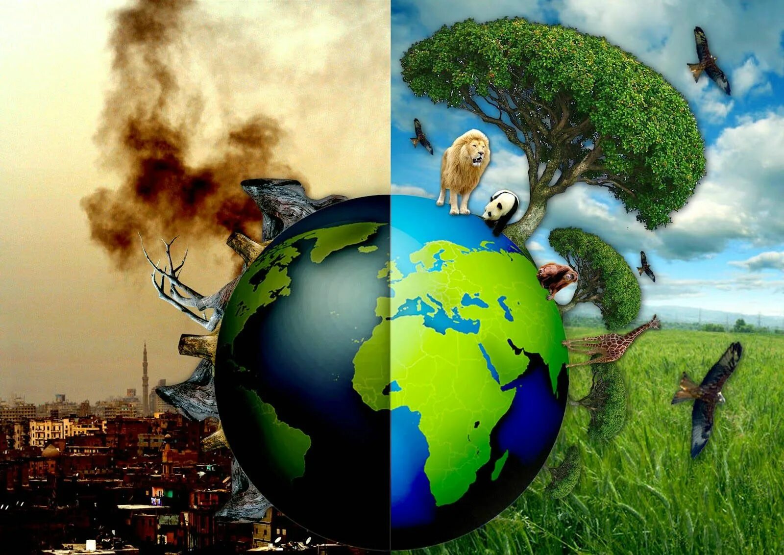 Conference series earth and environmental science