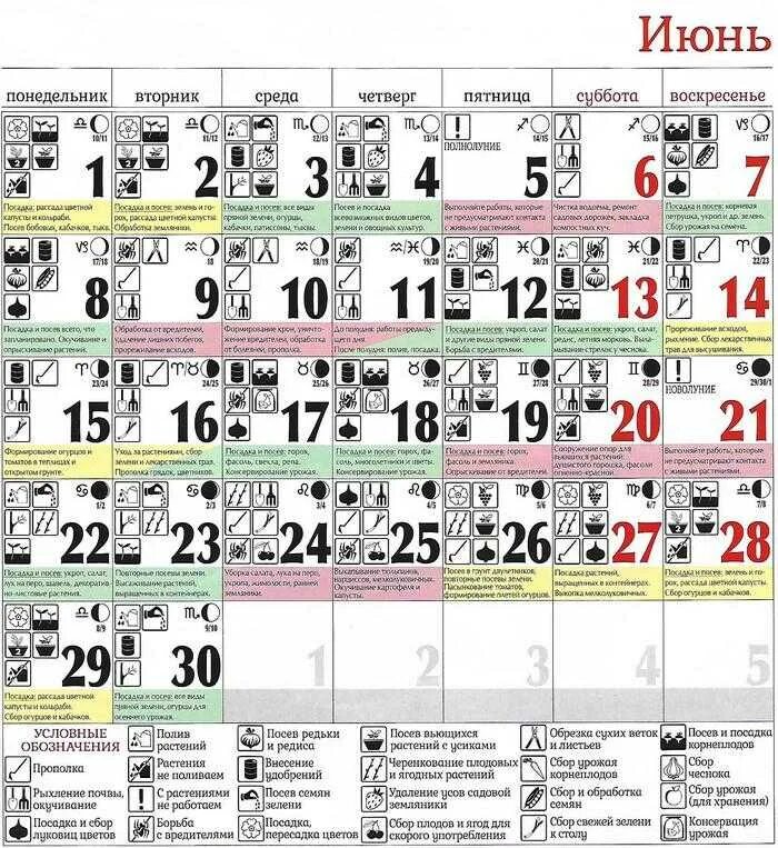 Лунный календарь. Лунный календарь на июнь 2020 года. Лунный посевной календарь на июнь 2020. Календарь садовода и огородника на июнь.
