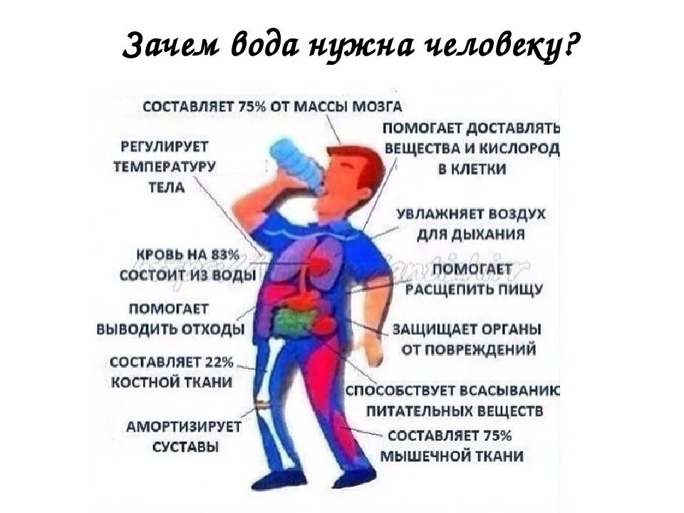 Зачем человеку места. Для чего нужна вода в организме. Вода в организме человека. Почему организму нужна вода. Польза воды для организма.