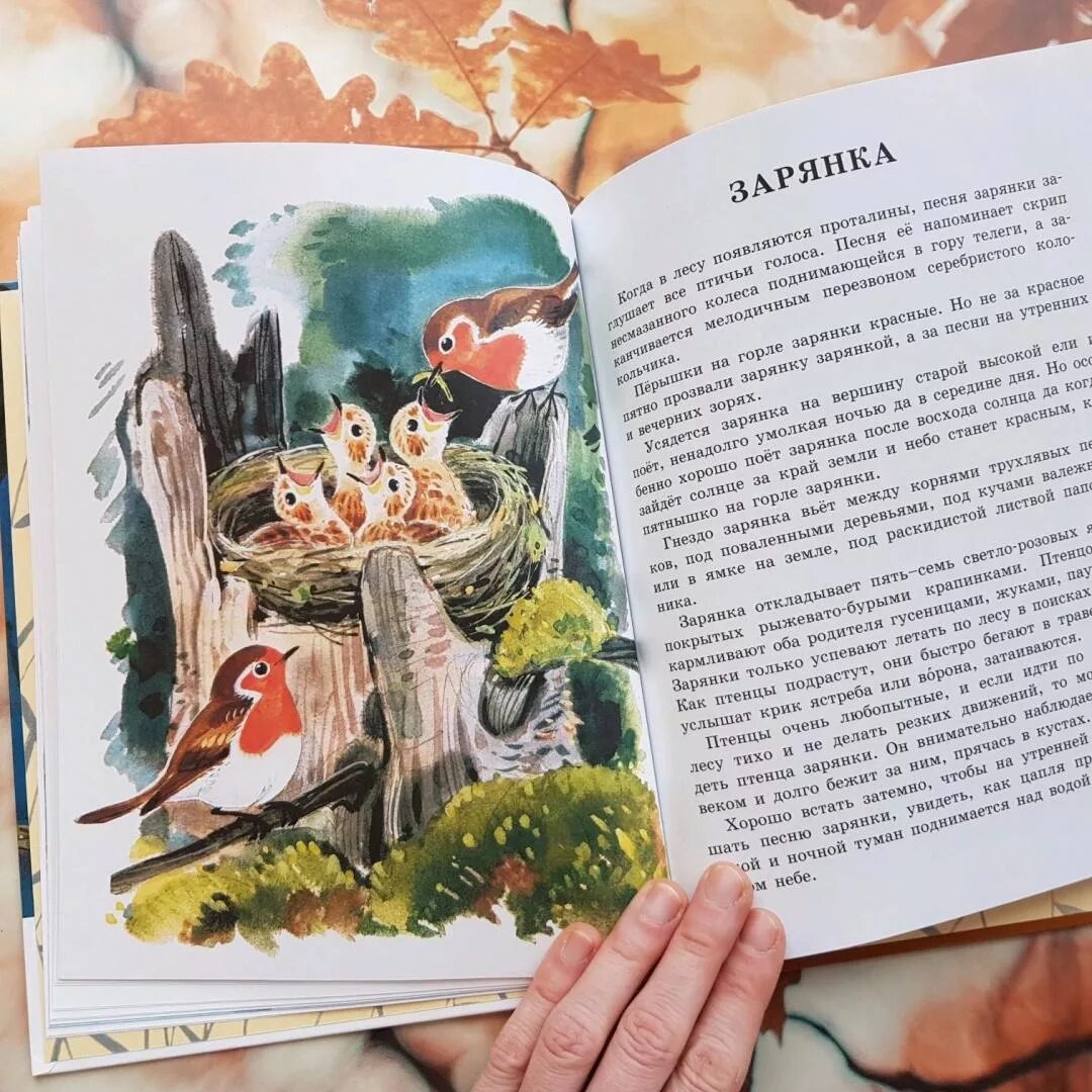 Песня про снегирев. Издательство малыш. Коля снегирев боевик. Отважный пингвиненок снегирев. Обложка снегирев про пингвинов.