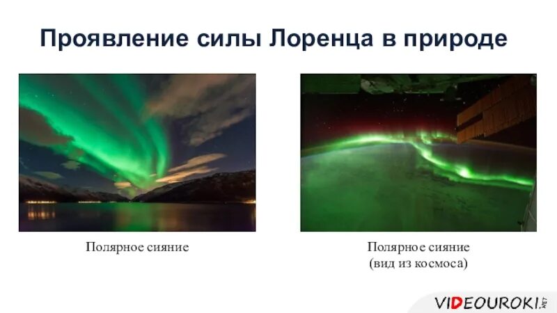 Волевая регуляция и волевое усилие(самомобилизация). Бодрота. Проявление силы кориолиса. Тигрята в снегу. Доброта это проявление силы или слабости.