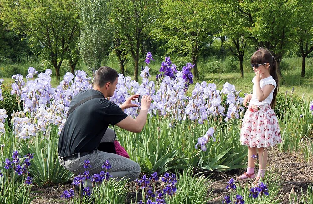 Ботанический сад ниу «белгу». Белгород ботанический сад белгу. Белгород клумбы. Работа в саду в белгороде. Работа в саду в белгороде.