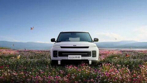 Geely icon butterfly
