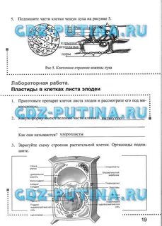 Биология 5 класс стр 76