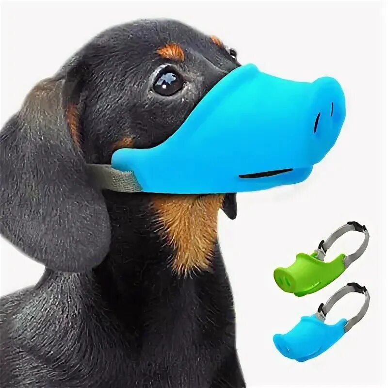 Намордник для таксы. Намордник для щенка таксы. Намордник свинка. Намордник для таксы размер. Намордник для таксы.