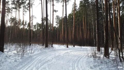 Екатеринбург юго