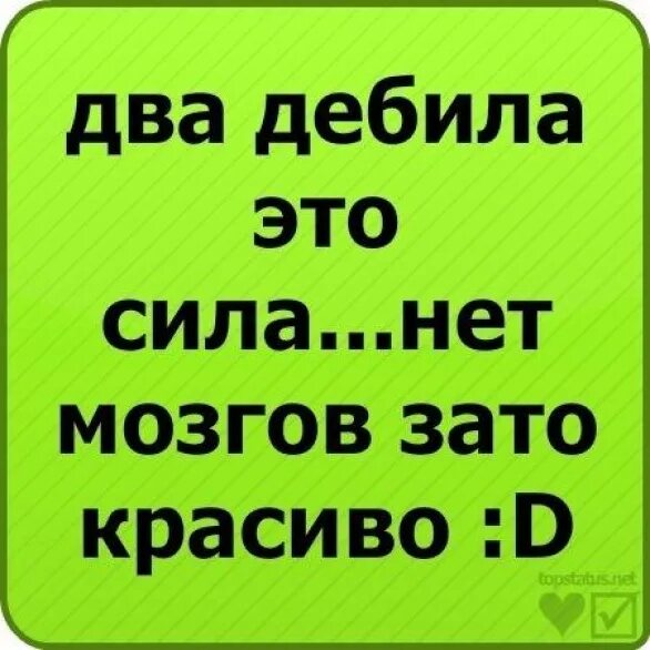 Мозгов у меня нет господа но зато. Два дебила это сила. три дебила это сила. два дебида это сила три д. два дебила это сила нет мозгов зато красиво.