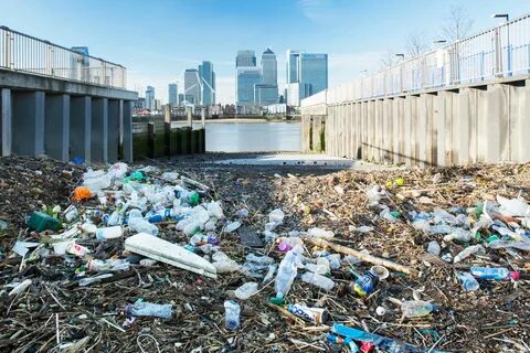 Looking after the environment