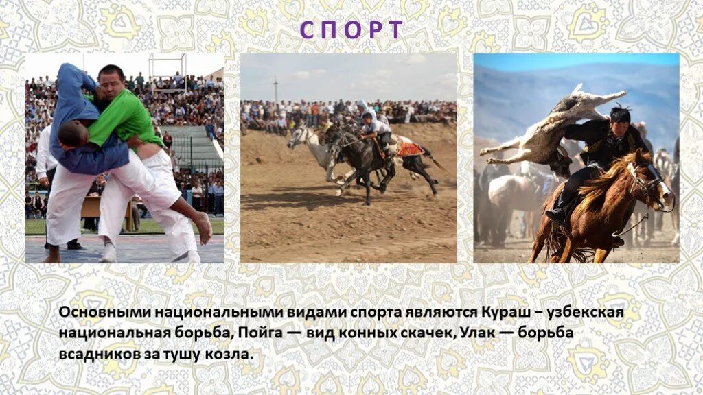 Презентация на тему спорт. Национальные виды спорта. Хёрлинг вид спорта. Национальные игры. Национальные виды спорта.