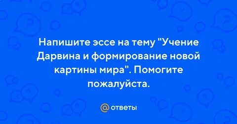 Другой мир сочинение