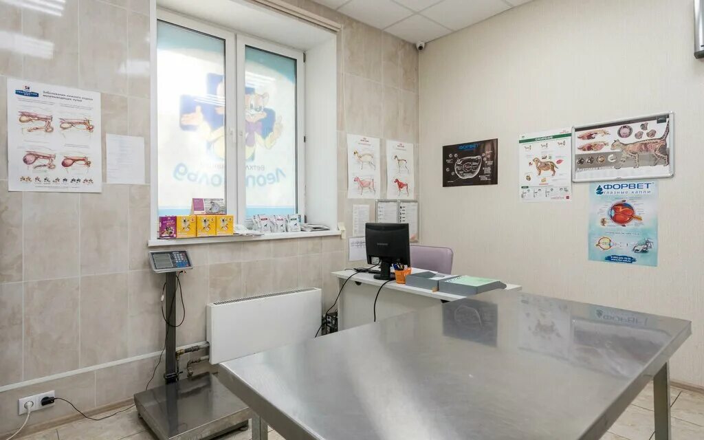 Галатея дзержинск кафе. Медиков 14к2 планировка. Галатея ул медиков. Галатея ул медиков. Галатея ул медиков.
