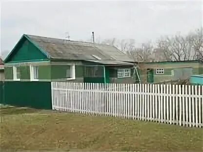 Рп 5 хабары алтайский край