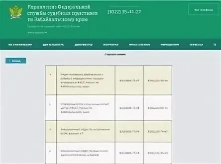 Прием ссп