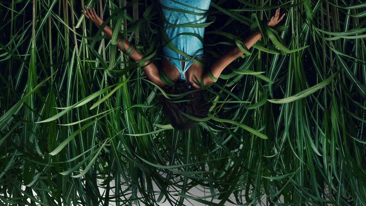 Потерялись в траве. В высокой траве (in the tall grass) 2019. стивен кинг трава. в высокой траве стивен кинг фильм. высокой траве» винченцо натали.