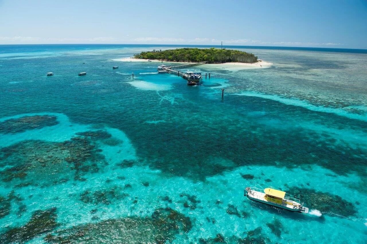 R island. Острова большого барьерного рифа. большой барьерный риф, кернс. остров грин айленд. остров риф (reef island).