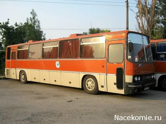 Kaluga region, Ikarus 250.52 АА 801 40 - Φωτογραφία - Μεταφορά με λεωφορείο