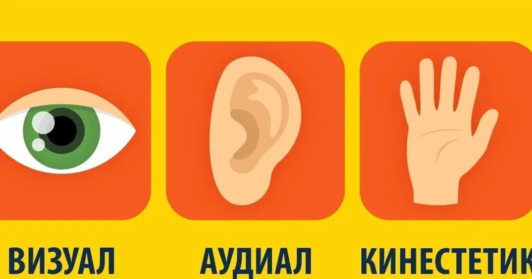 Визуал нлп. Типы восприятия информации аудиал визуал кинестетик дигитал. 3 типа людей визуалы аудиалы и кинестетики. типы людей кинестетик визуал аудиал. типы людей аудиалы визуалы кинестетики дигиталы.