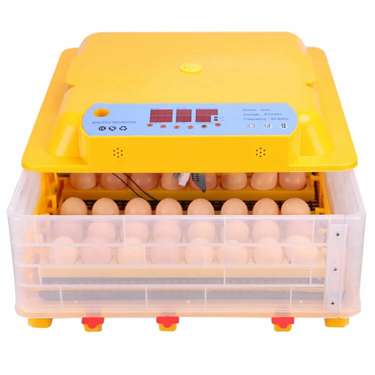 Инкубатор "WQ-48". Инкубатор автоматический WQ-36. Egg incubator 59 яиц. Инкубатор "WQ-24".