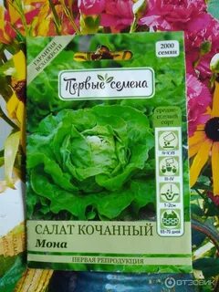 Им 1 семена
