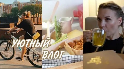 Гурьянов блоггер