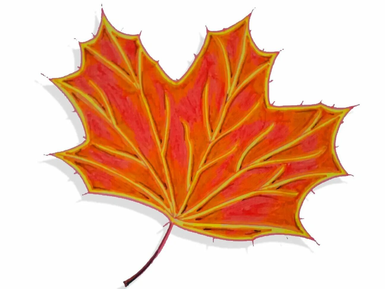 Листья рисунок. Кленовый лист рисунок. Осенние листья рисунок. Рисунки осенних листьев.