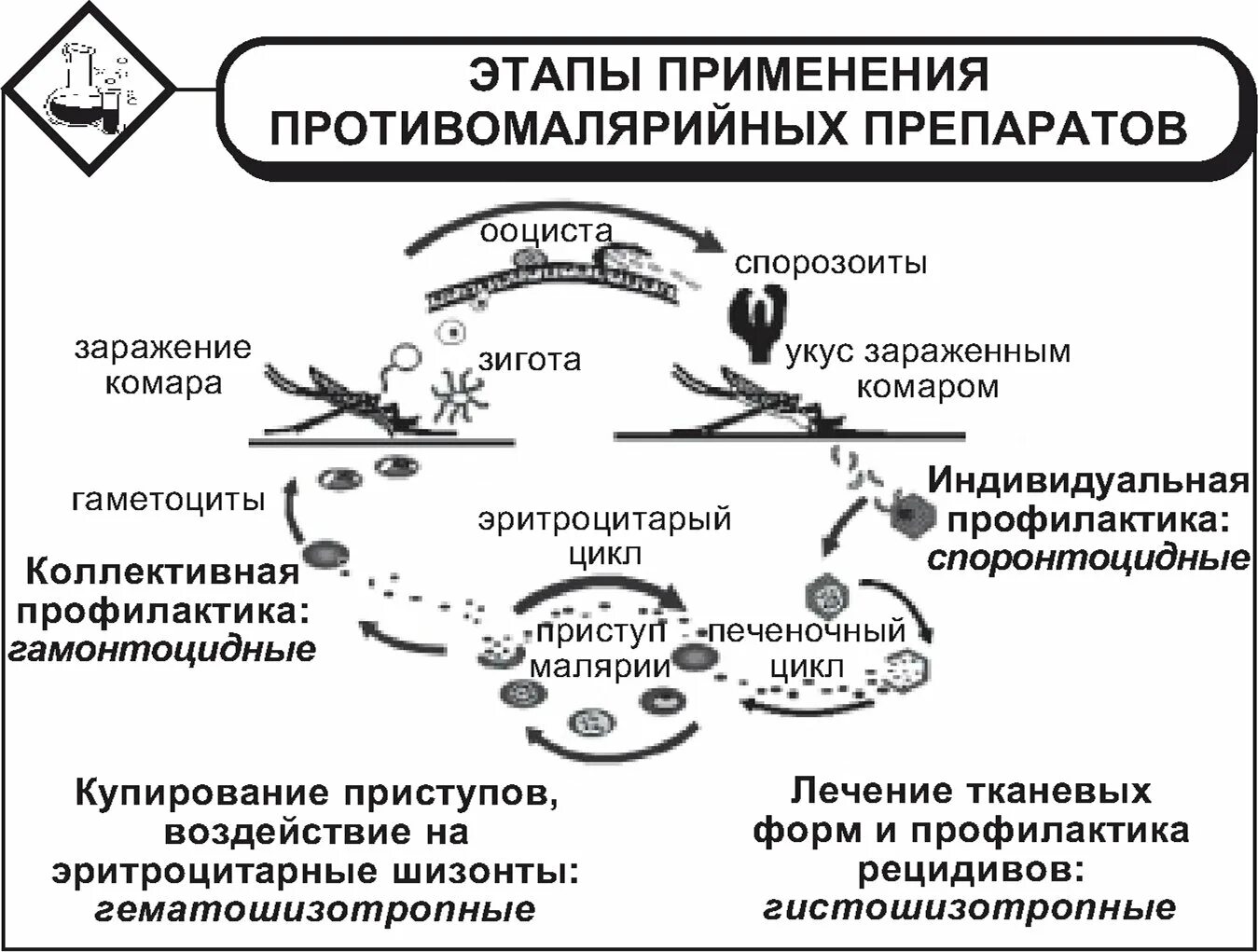 Противомалярийный препарат применяемый с целью профилактики. Противомалярийные средства побочные действия. противомалярийные механизм действия. противомалярийные препараты механизм действия. противомалярийные средства фармакология механизм действия.