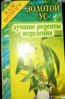 Золотой ус целебные свойства