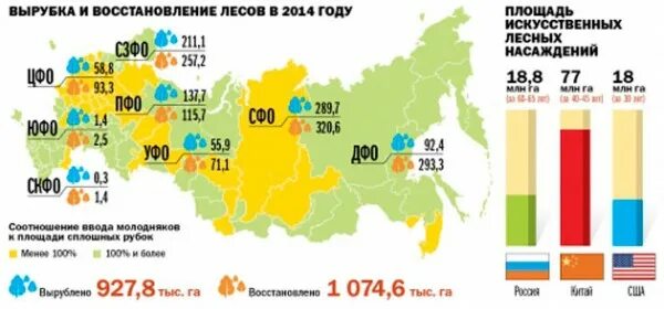 Сколько вырублено лесов. Диаграмма вырубки лесов в россии. Лесные ресурсы россии 2021 диаграмма. Сколько вырублено лесов. Статистика вырубки лесов по годам.
