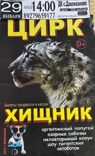 Цирк в реутово