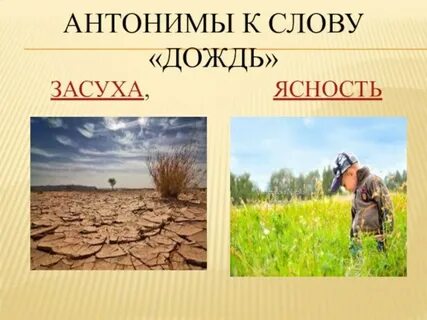 Антонимы слова дождь