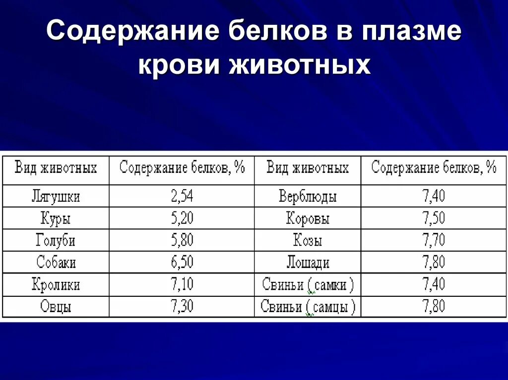 Содержание белков в плазме. Белок в плазме норма. Содержание белков в плазме крови. Содержание белков в плазме крови составляет.