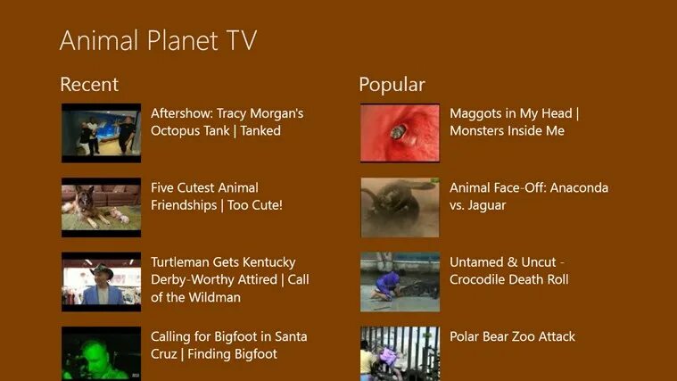 Animals программа. Энимал планет программа. энимал плэнет программа. канал animal planet. тв программа энимал планет на сегодня.