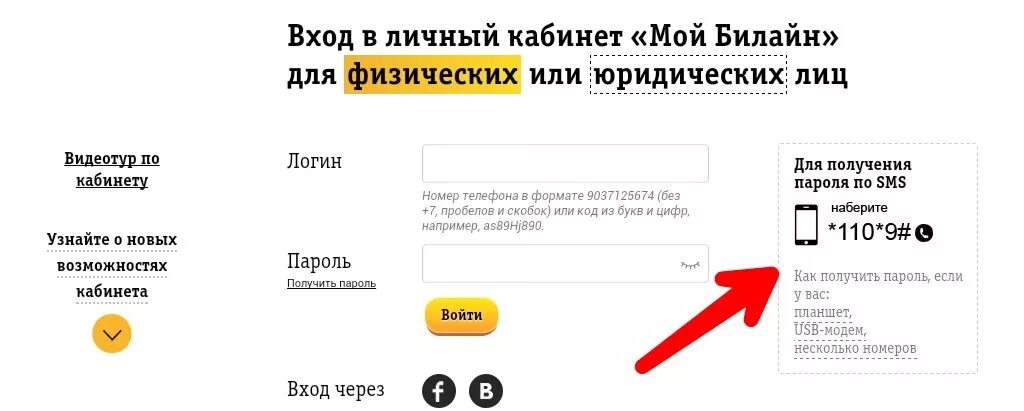 Как узнать номер билайн через смс. Билайн личный кабинет. Мой Билайн личный кабинет. Детализация Билайн личный кабинет. Билайн личный кабинет платные услуги.