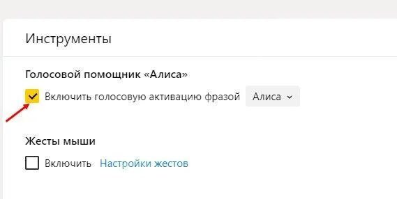 Почему не работает Алиса. Активацию фразой. Что делать если Алиса не работает.