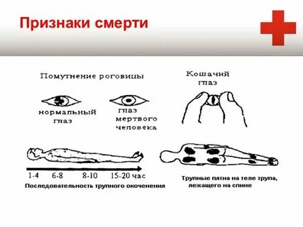 Какие признаки святого