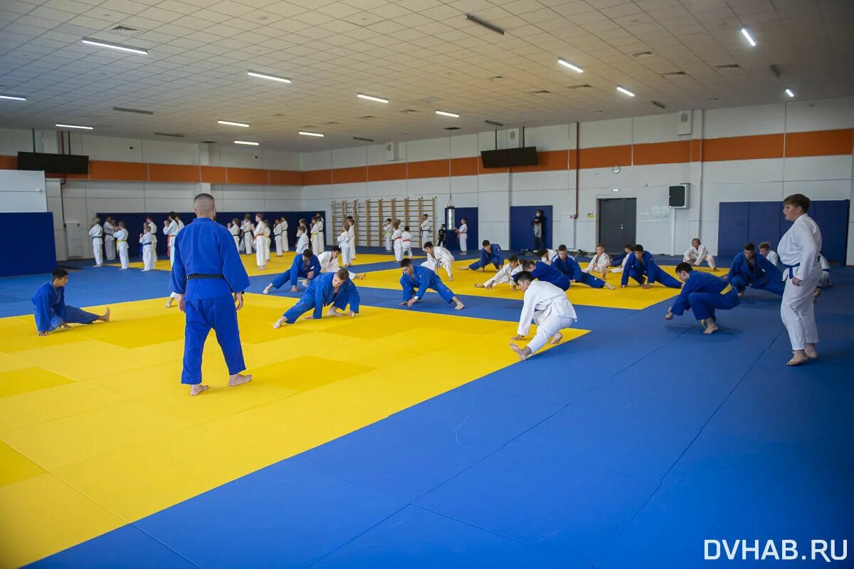 Дворец единоборств секции. Дворец единоборств секции. Дворец единоборств воейков пенза официальный сайт. Спортивные секции дальнегорск. Дворец единоборств брянск секции.