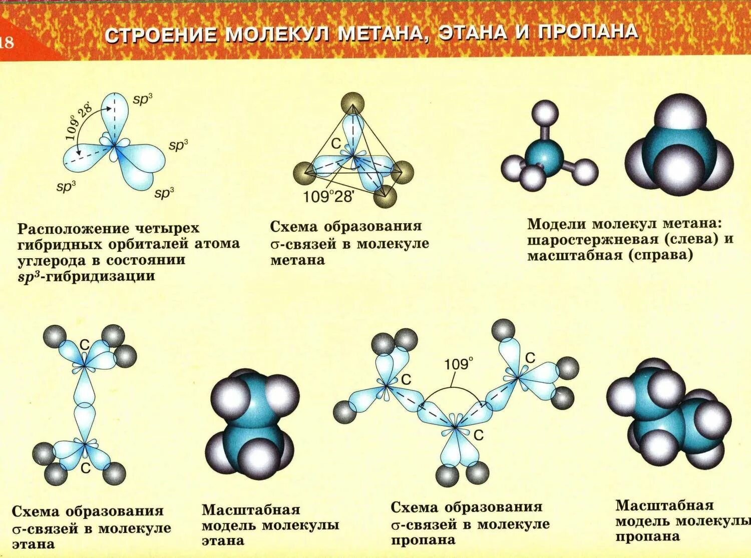 Этан гибридизация. Пространственное строение молекулы пропана. Электронное строение молекулы пропана. Строение молекулы метана, этана.. Предельные углеводороды строение молекул.